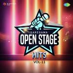 Open Stage Hits - Vol 11 - Balbir Song Download
